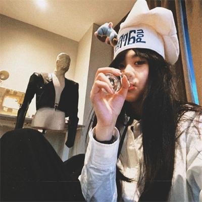 模范警察