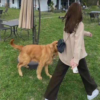 黑白之间